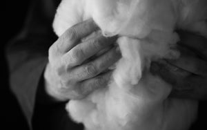 A black and white photo of a pair of old man's hands holding a large ball of white stuffing.