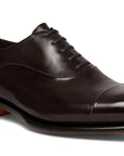 Santoni - Dark Brown Lace Up Oxford Shoe SHOES Santoni