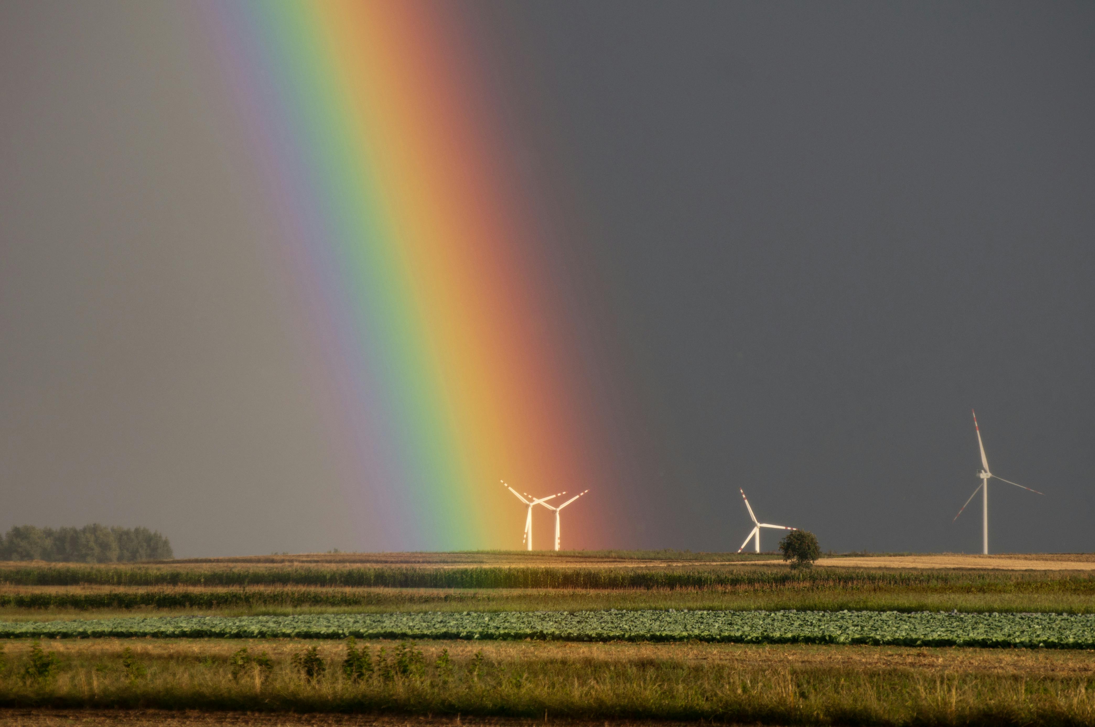 A rainbow over a field with wind turbines in the distance