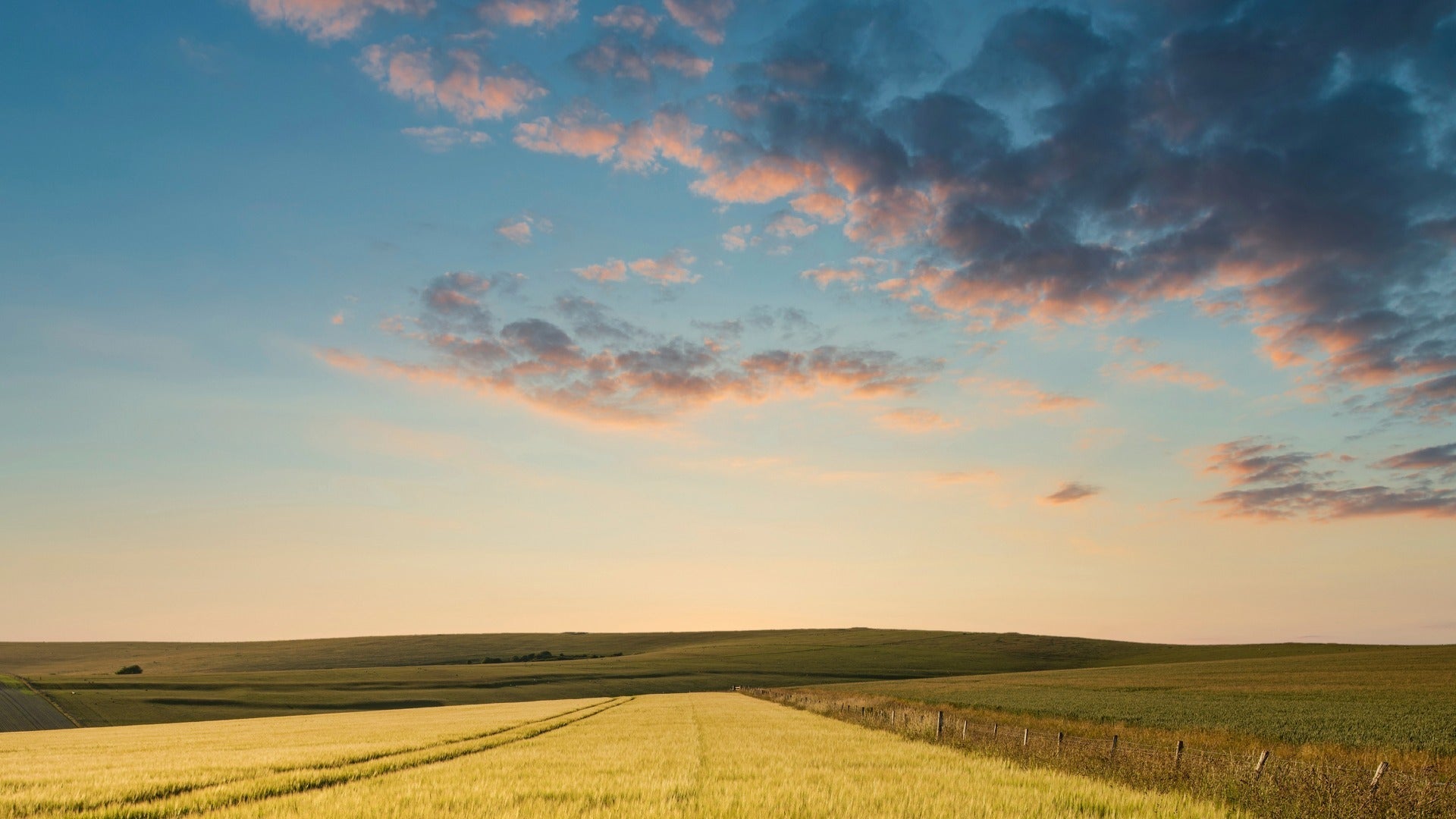 A late summer sunset over a field of crops