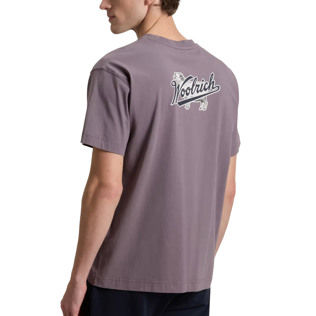 Woolrich - Shark Grey T-Shirt in Pure Cotton with Logo TEE SHIRTS Woolrich