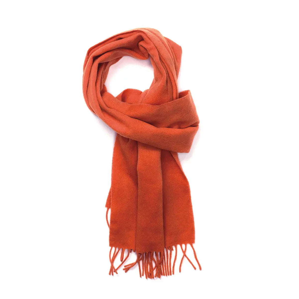 Robert Old - Mango Classic Cashmere Scarf SCARVES Robert Old